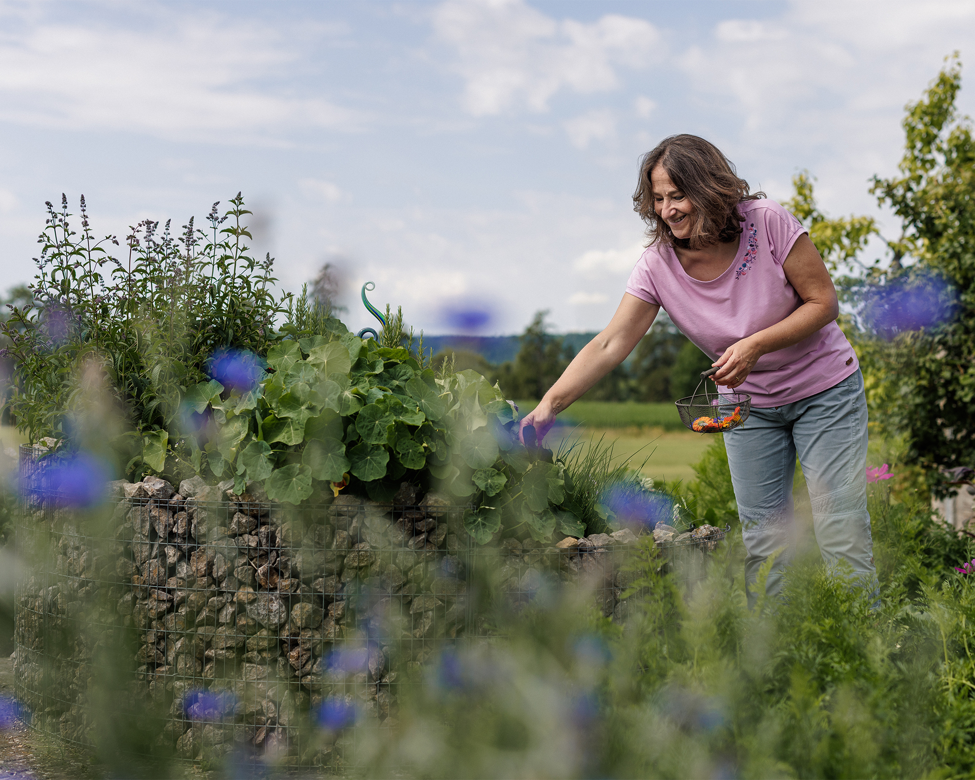 Marlies Greiner Kontakt