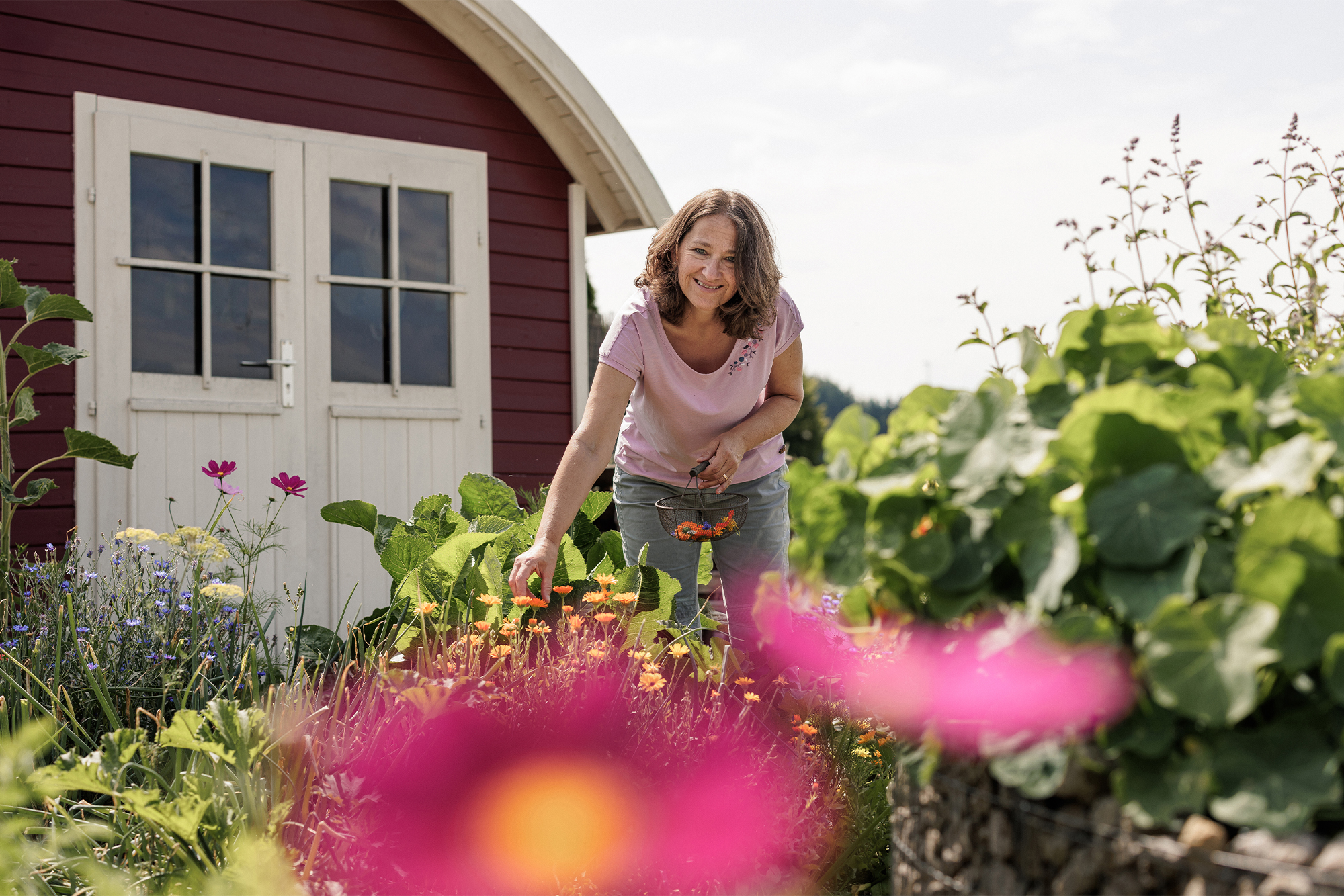 Aufblühen – gesund – leben