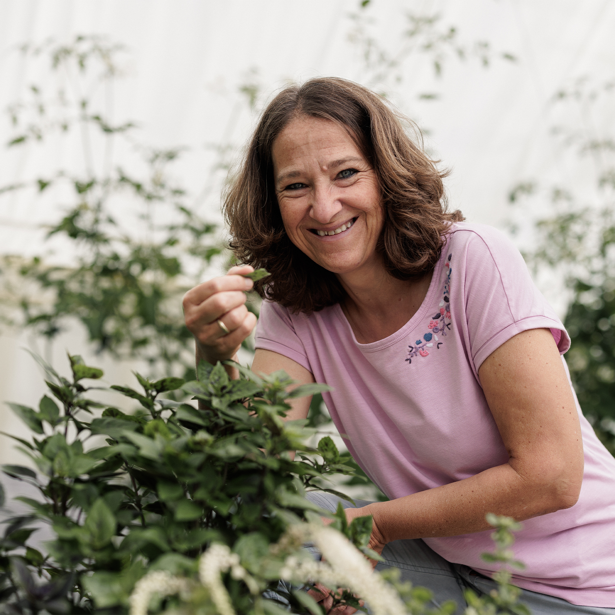 Marlies Greiner Ernährung Heilpflanzen