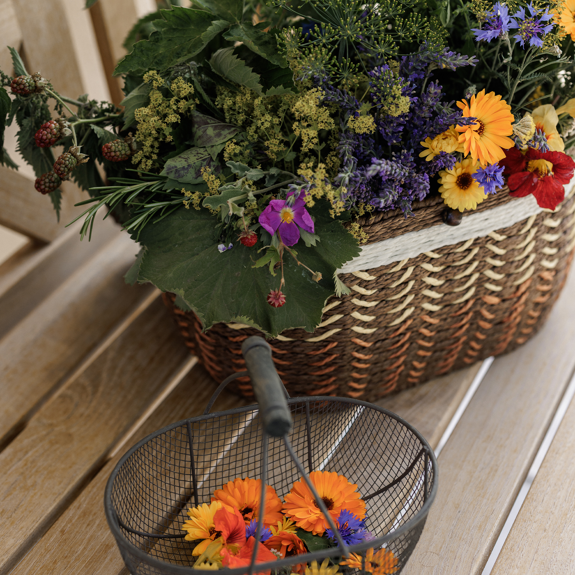 Tinkturen und Ölmischungen